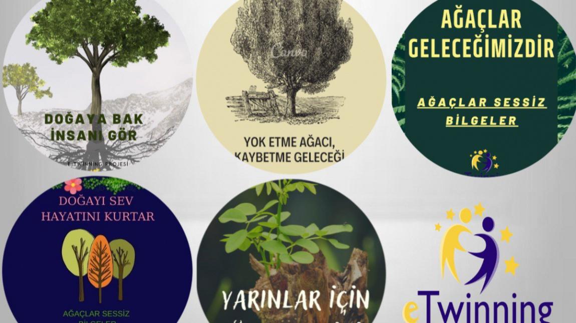 Ağaçlar Sessiz Bilgeler eTwinning Projesi Afiş ve Logo Çalışmaları